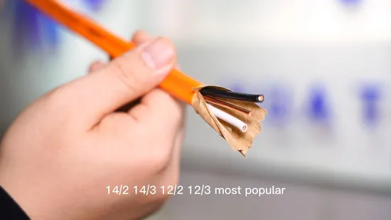 Electrical 600V 14/2 12/3 12/2 PVC Nylon Copper Conductor XLPE Wire Nonmetallic Sheathed Nm
