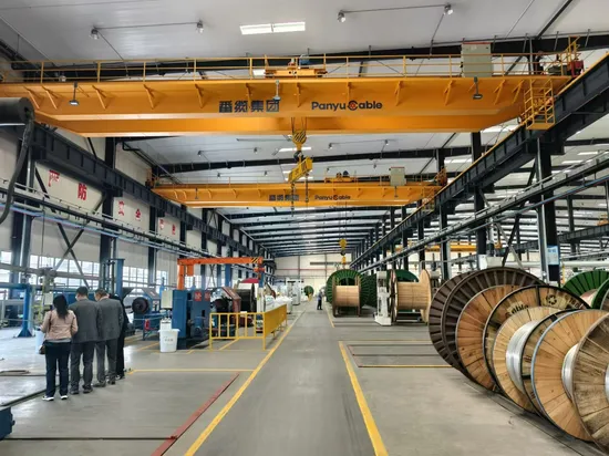 Durable RV Rvv Rvs Flexible Electric Cable for Reliable Connections 