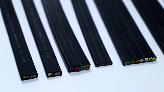 CE Certified Flat Wire Ngflgoeu Cable Connection Cable Low Price 